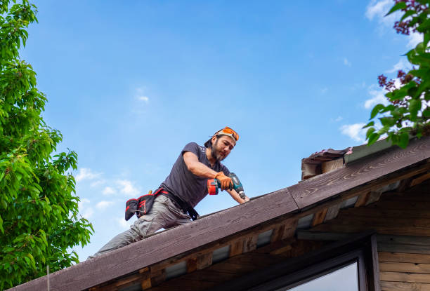 Best Roof Moss and Algae Removal  in Mendota, CA